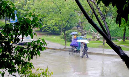 梅雨期图片