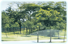 东湖公园景观