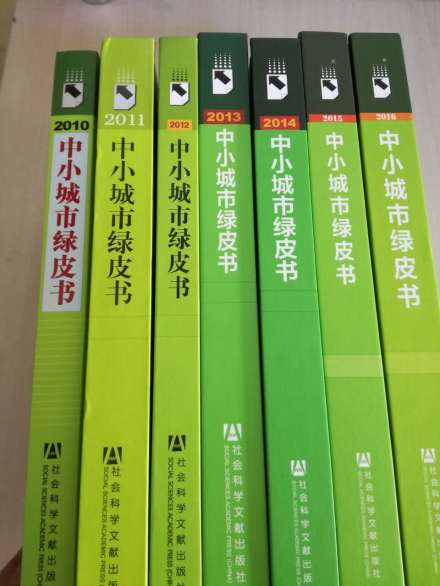 中小城市绿皮书