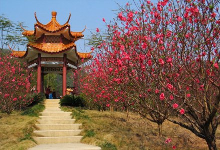 桃花园