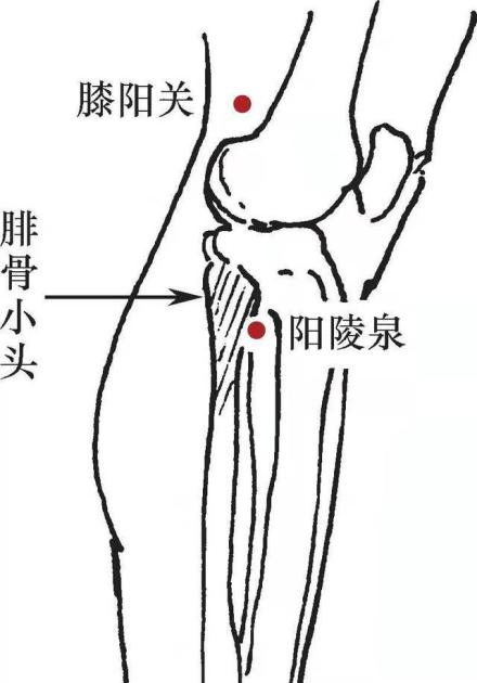 阳陵泉