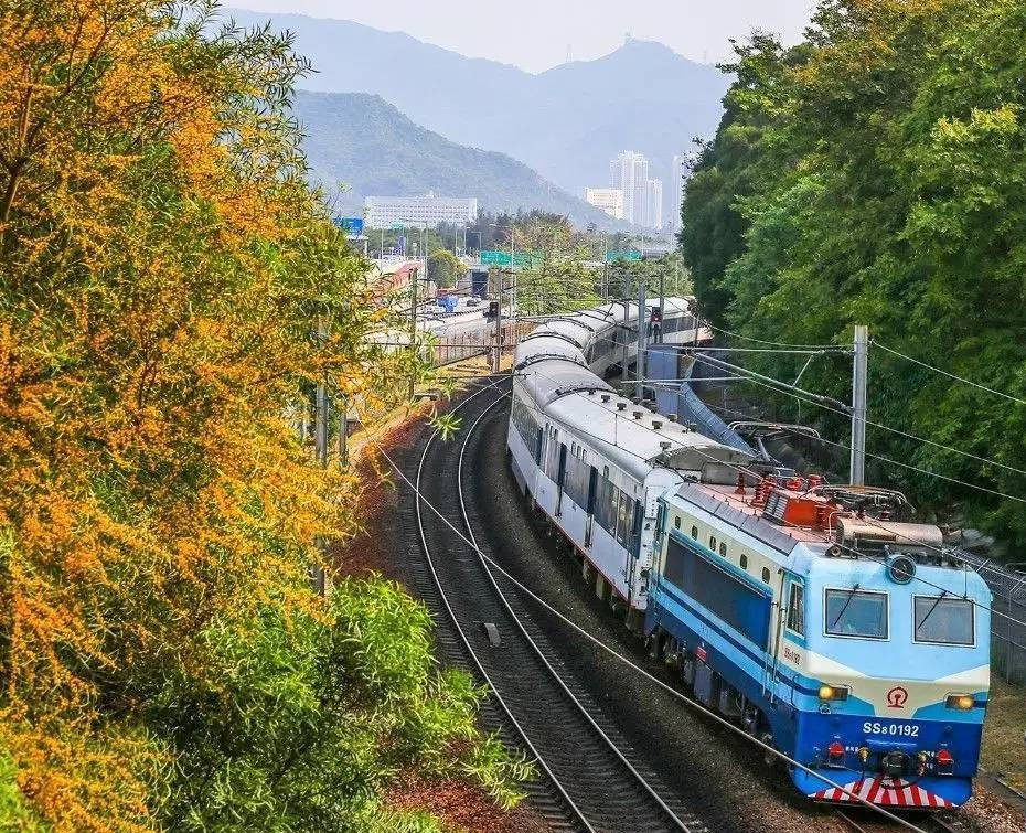 广九铁路韶山8型准高速电力机车牵引广九直达特快列车