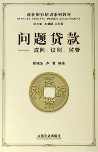 贷款承诺书籍