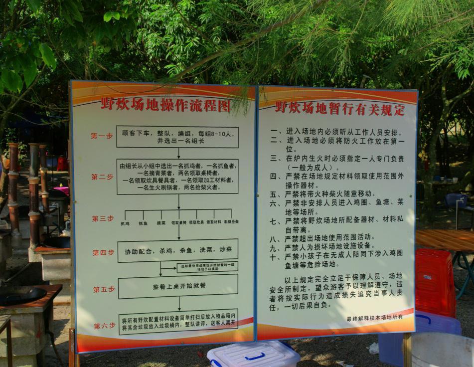 野炊活动
