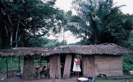 俾格米人简陋茅屋