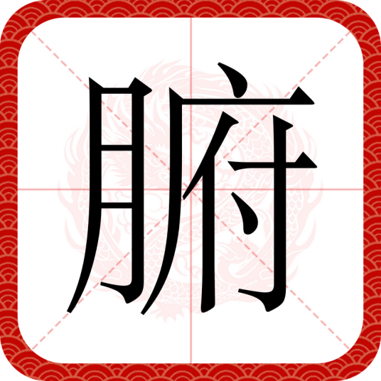 腑