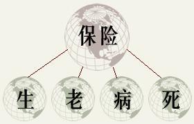 保险