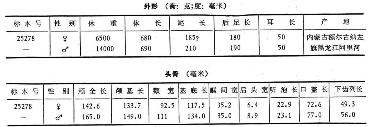量衡度 