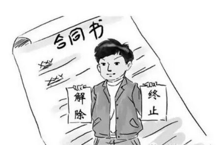 合同的解除和终止图片