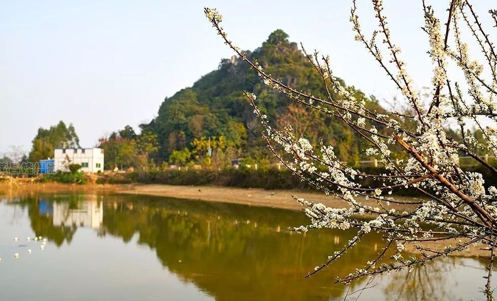横州镇