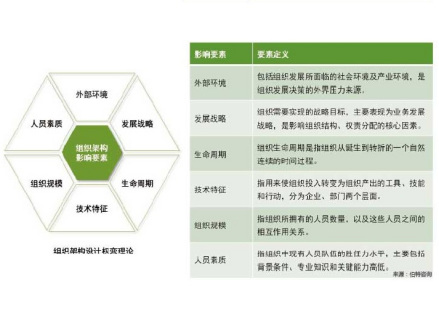 组织结构设计全变理论