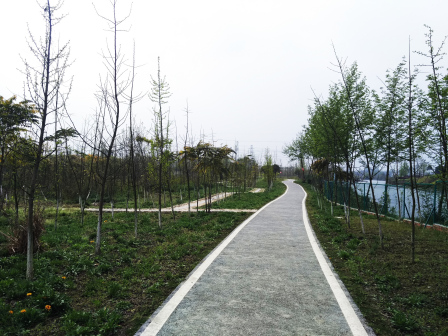 西北村湿地