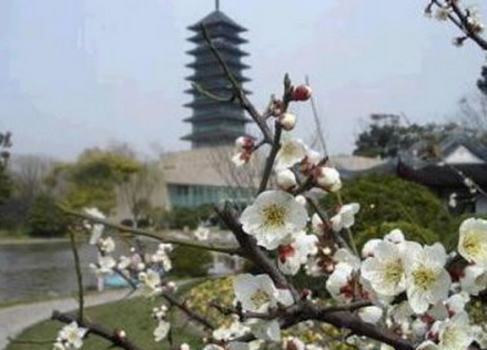 峨山临江公园