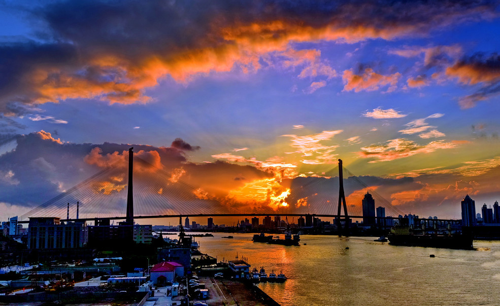 杨浦大桥之景