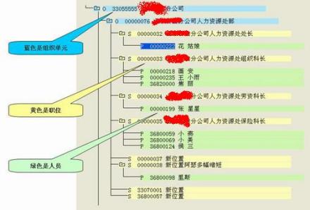成本中心