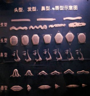上海自然博物馆风光