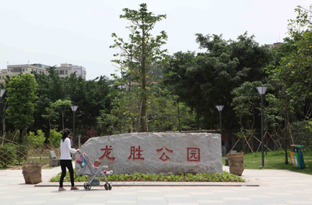龙胜公园