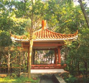 东湖公园景观