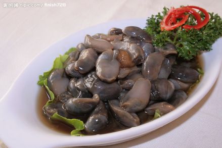 黄泥螺