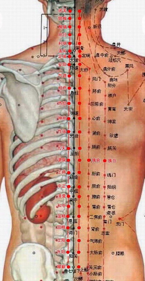 胰经腧穴图 