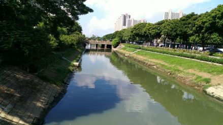 新洲河