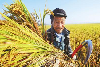 农民喜获丰收