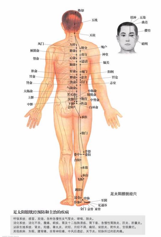 中医生命与疾病认知方法