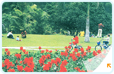 东湖公园景观