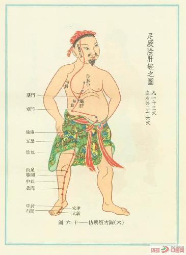 足厥阴肝经(图1)