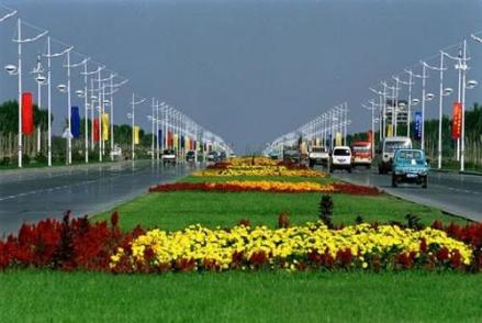 第八师石河子市市容