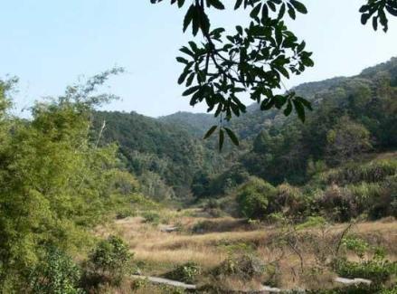 嶂山森林公园