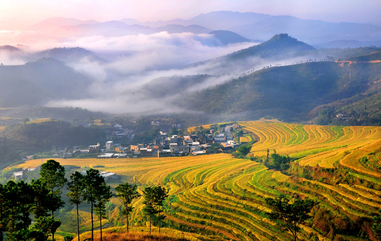 坪山梯田旅游区