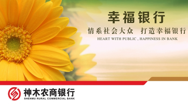 相关照片