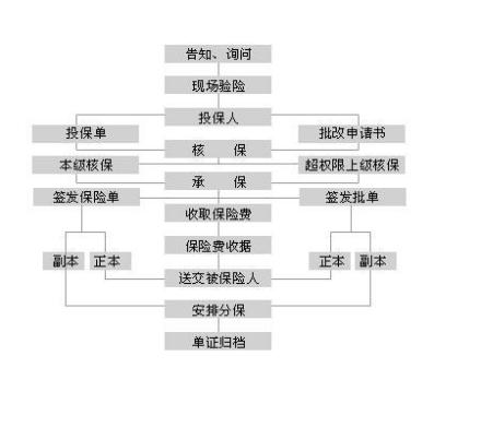 图4 投保流程