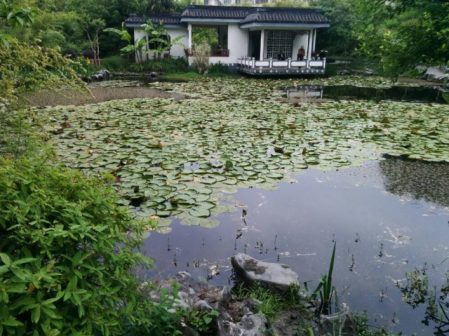 闸北公园