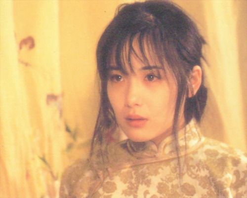 富田靖子的图片