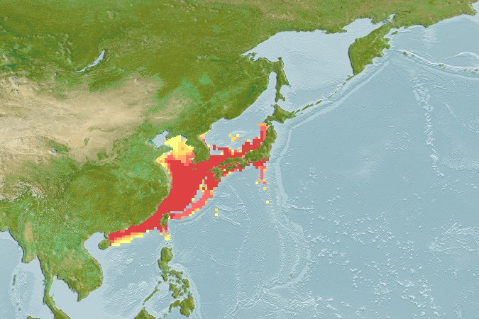刺鲳分布图