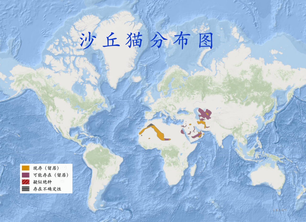 沙丘猫分布图