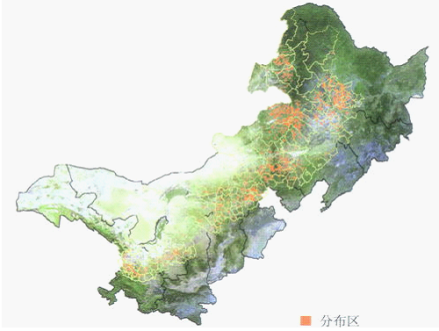 分布图