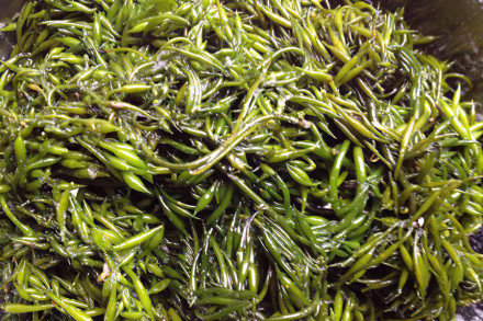 羊栖菜