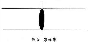 生物地层学
