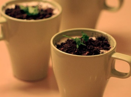 盆栽奶茶实物图