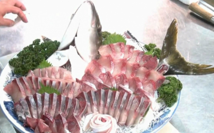 鰤鱼