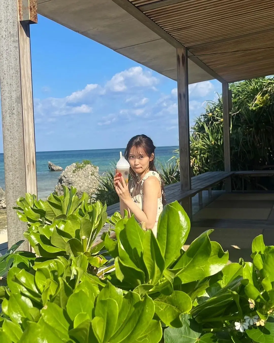 芹泽优的图片