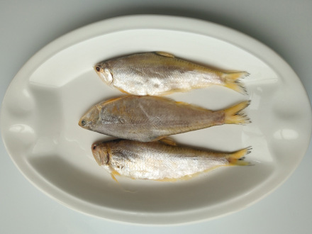 黄鲫
