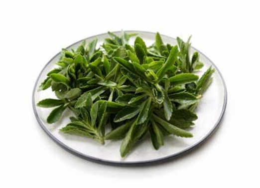 费菜嫩茎作为蔬菜