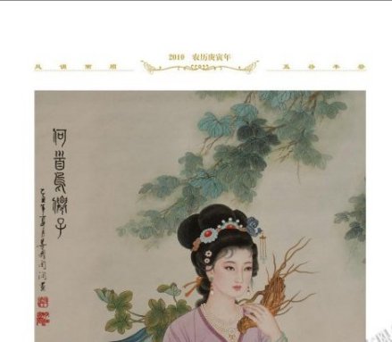 何首乌