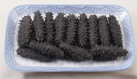 海参