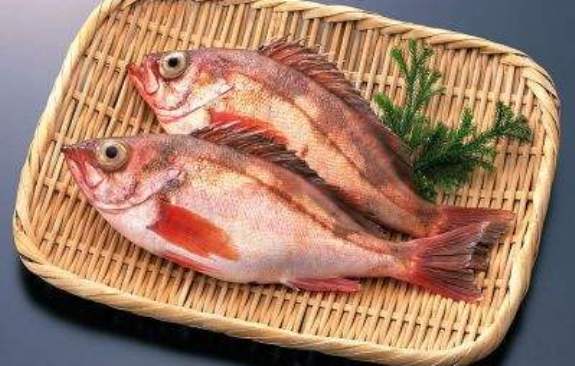 蓬莱加吉鱼