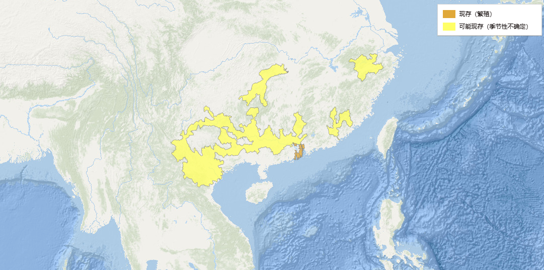 斑鳠分布图 